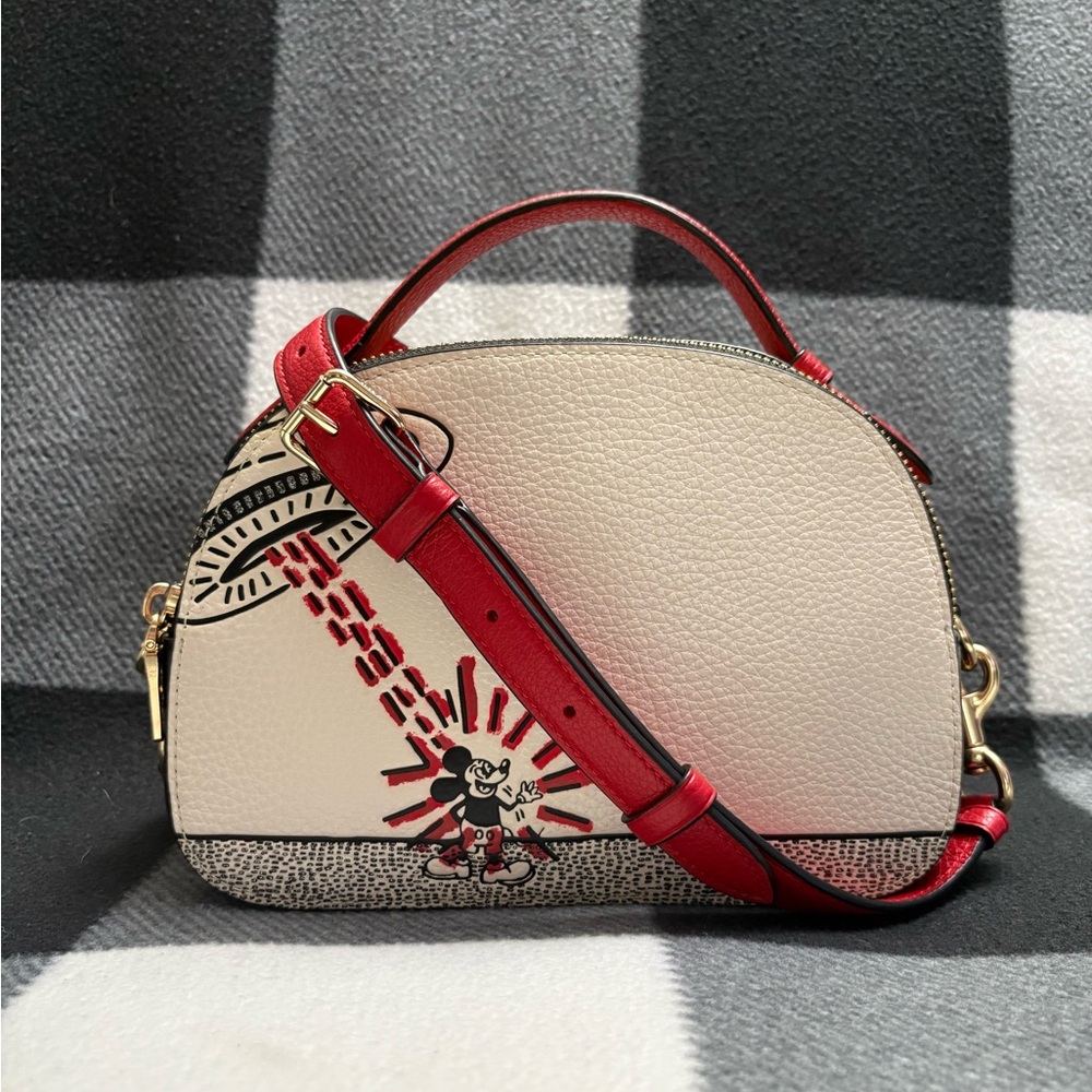 Coach x Disney x Keith Haring